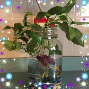 Meet your Posher, Becky